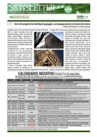 /album/rebilding-er-newsletter-02/newsletter-progetto-re-building-er-02a-jpg/